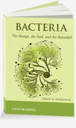 Bacteria, the Benign, the Bad and the Beautiful
